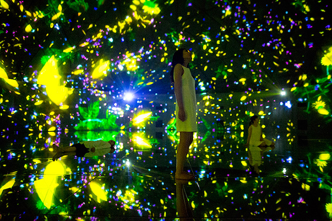 teamLab - Floating in the Falling Universe of Flowers, 2016.  Interactive Digital installation