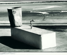 Robert Rauschenberg - Statue and Sprimkler, s.d