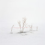 Danila Tkachenko – Restricted Areas