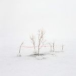 Danila Tkachenko – Restricted Areas