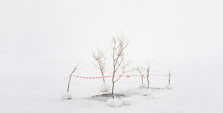 Danila Tkachenko - Restricted Area