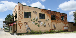 Matthew Willey - The Good of the Hive, Harold P. Curtis Honey Co LaBelle - Florida