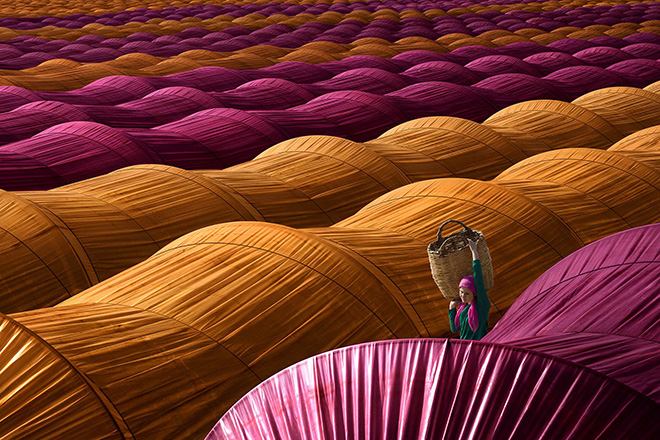 Leyla Emektar - Strawberry Greenhouse, Turkey, Travel category.  Turkey Nazilli peasant woman working in the strawberry greenhouse...