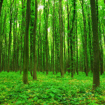 Carbon Engineering – Purificare l’aria