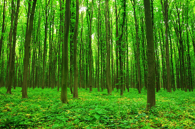 Carbon Engineering – Purificare l’aria
