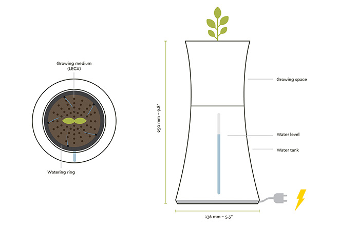 Botanium - Grow edible greens, illustration