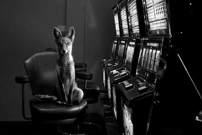 Jason McGroarty - Project Totem, Fine Art Photography Awards