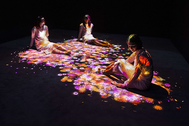 teamLab - Flowers bloom, Transcending Boundaries, Pace London Gallery