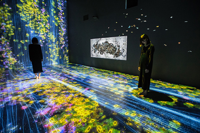 teamLab - Transcending Boundaries, Pace London Gallery