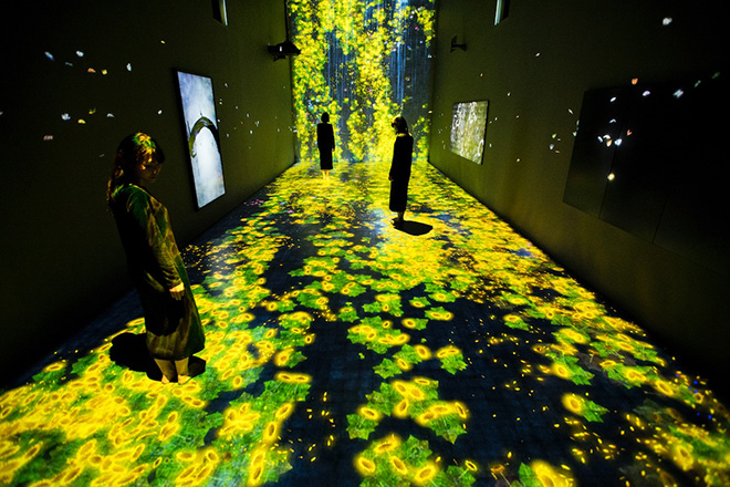 teamLab - Transcending Boundaries, Pace London Gallery