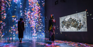 teamLab - Transcending Boundaries, Pace London Gallery