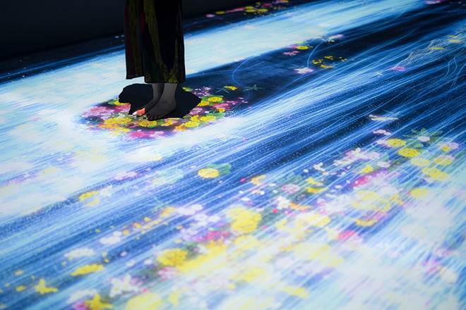 teamLab - Transcending Boundaries, Pace London Gallery