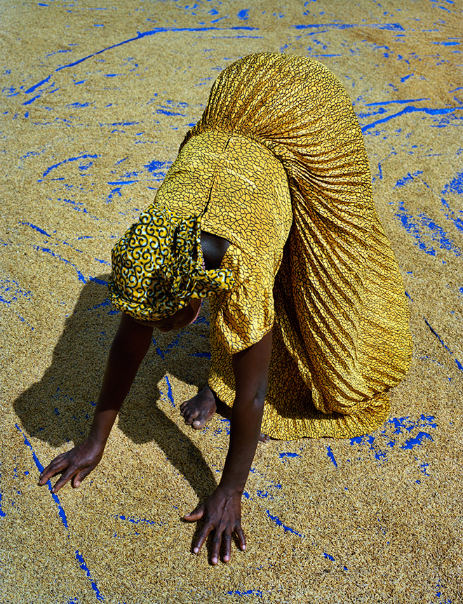 Kenneth O’ Halloran (Ireland) - Rice Farmer, Sanwougou Lalle, Toga, 2015