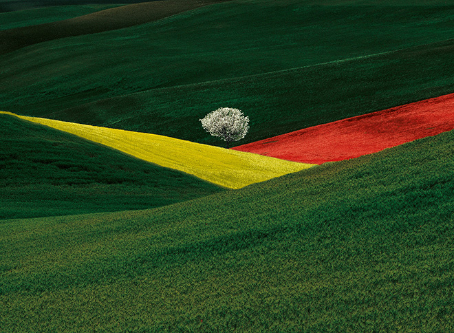 Franco Fontana - Paysage imaginarie, 1995