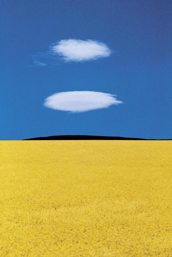 Franco Fontana - Puglia, 1978