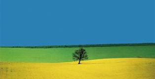 Franco Fontana - Puglia, 1987