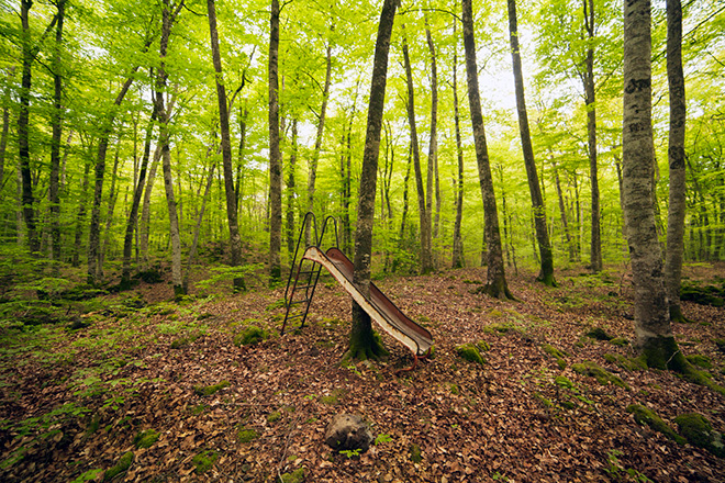 Pejac - Nature First, 2017, foresta di Olot, Gerona, Catalogna