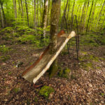 Pejac – Nature First