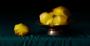 Vilma Pimenoff - 21ST Century Still Life, DARK MATTER exhibition