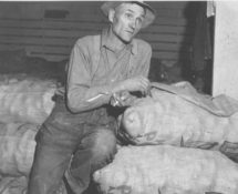 Dorothea Lange - Klamath Basin potato farmer. Tulelake California, Oct. 1939. Library of Congress, 1973/CSAC Università di Parma, Sezione Fotografia.