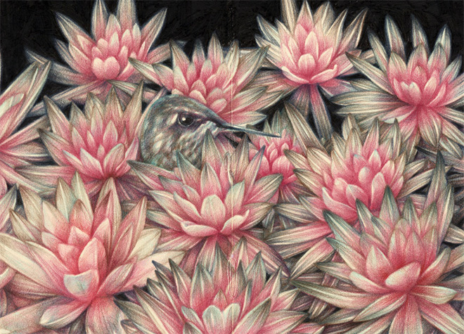 Marco Mazzoni – Home