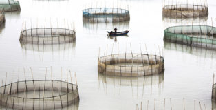 Tugo Cheng - (Hong Kong), 1st place Landscapes, International Photographer of the Year 2016