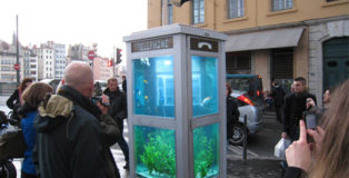 Benedetto Bufalino - Pesci al telefono