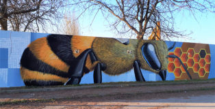 Collettivo Vida Krei (Psiko, Rash e Alessio Bolognesi) - Murales a Medolla (Modena), 2017