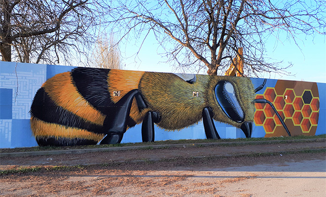 Collettivo Vida Krei – Murales a Medolla