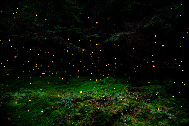 Ellie Davis – Nebulae