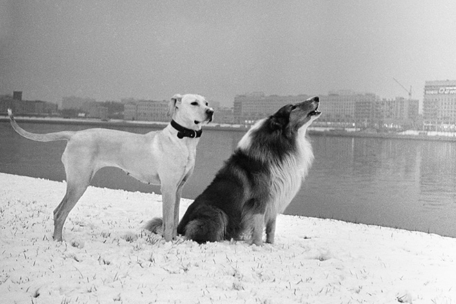 Masha Ivashintsova - Leningrad, USSR, 1977