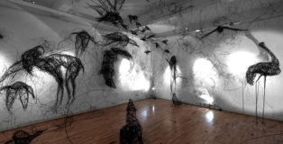 Maria Pia Picozza - Pandemia, installazione generale, Galleria Portanova12, Bologna