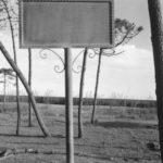 David Wilson – Shores / Plains / Mountains