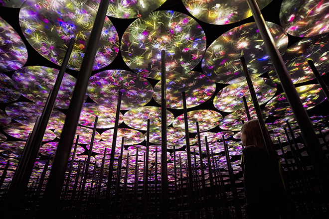 teamLab - Memory of Topography, Interactive Digital Installation, 2018. Sound: Hideaki Takahashi