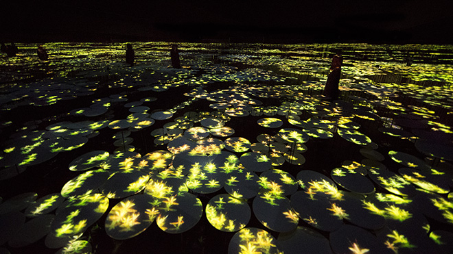 teamLab - Memory of Topography, Interactive Digital Installation, 2018. Sound: Hideaki Takahashi