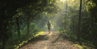 Forest Man - Un sogno green che non si ferma, il documentario su Jadav Molai Payeng