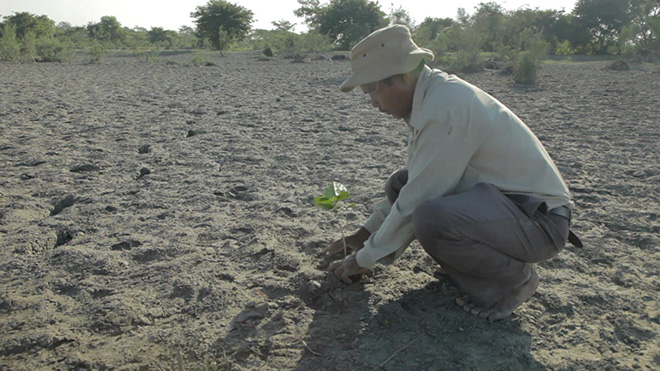 Forest Man - Un sogno green che non si ferma, il documentario su Jadav Molai Payeng