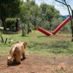 Sculture in campo – Un Parco per la Scultura Contemporanea