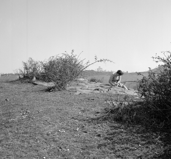 John Bryan Ward-Perkins - Sud Etruria Survey, a cura di Valerie Scott e Elisabetta Portoghese