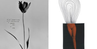 PRIMULE - Fotografie di Silvia Mazzella e Benedetta Boveri