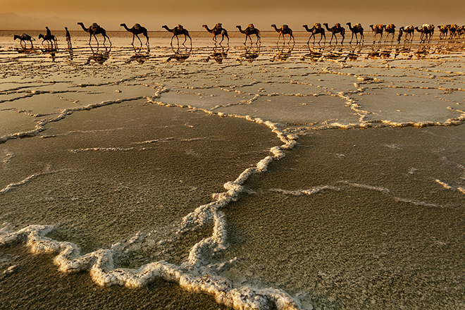 Salt pans of Lake Asale, Danakil Depression, Ethiopia. Stefano Pensotti, Italy. Overall winner, Travel Photographer of the Year 2018. (They have loaded the salt from the Dankalia open-air salt mines at - 50m level. Their journey will lead them to Agula on the Ethiopian plateau at 2400m). (Photo: Stefano Pensotti/www.tpoty.com)