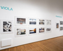 Ri-scatti: AMICO FRAGILE, PAC Allestimento mostra, Milano