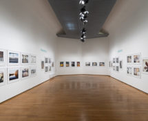Ri-scatti: AMICO FRAGILE, PAC Allestimento mostra, Milano