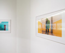 Ri-scatti: AMICO FRAGILE, PAC Allestimento mostra, Milano