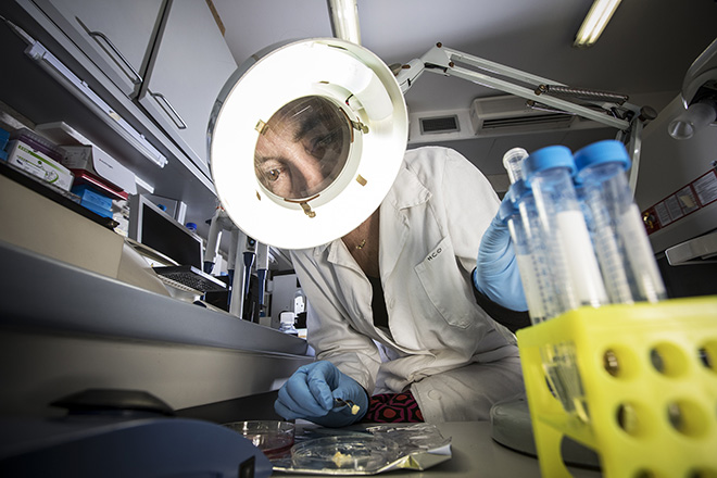 Jacopo Brogioni - Gemma Calamandrei, Psicobiologa Istituto Superiore di Sanità, Roma: Il Racconto di 100 Donne