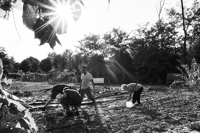 Dario - Fertile Controcoltura, 13 STORIE DALLA STRADA - Fotografi senza fissa dimora