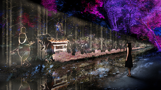 teamLab - Walk, Walk, Walk - 下鴨神社 糺の森Walk, Walk, Walk - Tadasu Forest at Shimogamo Shrine