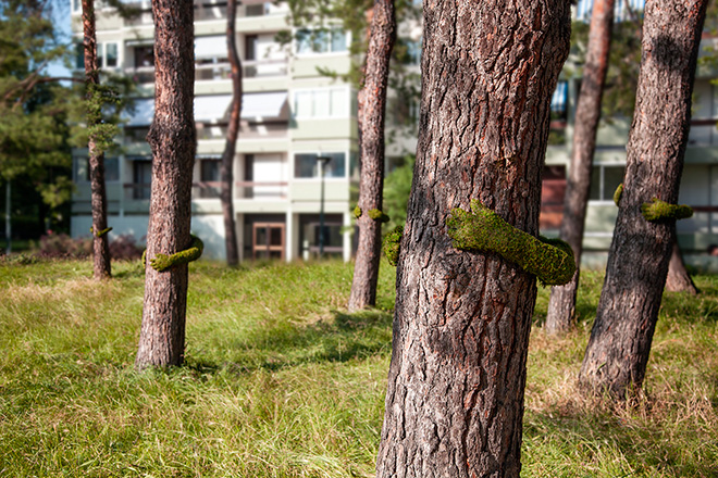 Monsieur Plant - TREE HUG, Annecy, 2019