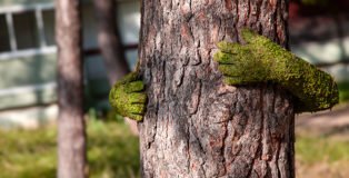 Monsieur Plant - TREE HUG, Annecy, 2019