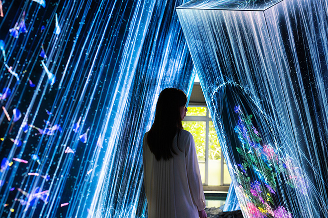 teamLab - Megaliths in the Bath House Ruins